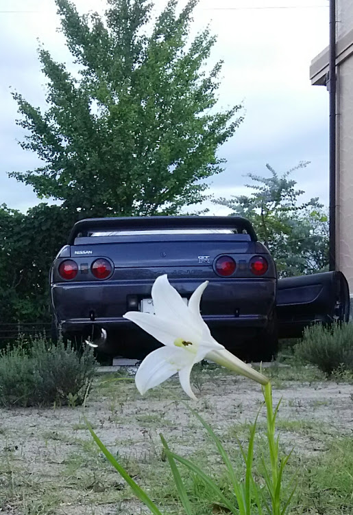 スカイライン GT-Rの猛暑・コラボ・百合・雷鳴に関するカスタム事例の投稿画像1枚目