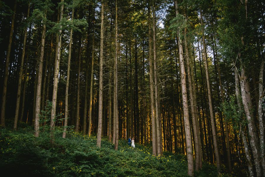 Fotógrafo de casamento Ambre Peyrotty (zephyretluna). Foto de 20 de setembro 2015