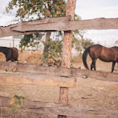 Fotografia 1