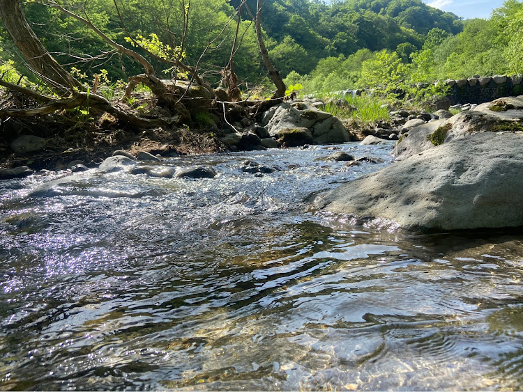 の投稿画像3枚目