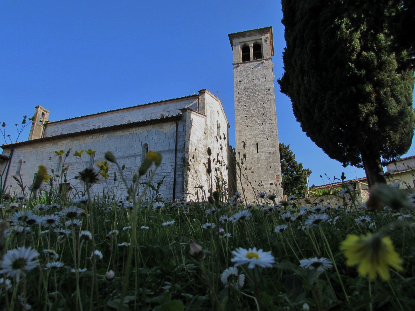 Chiesa su tappeto di margherite di Giorgio Lucca