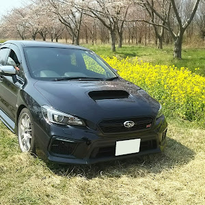 WRX STI