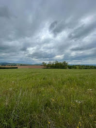 terrain à Belmont-sur-Rance (12)