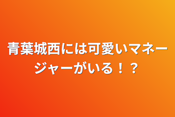 青葉城西には可愛いマネージャーがいる！？