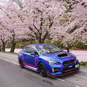 WRX STI VAB