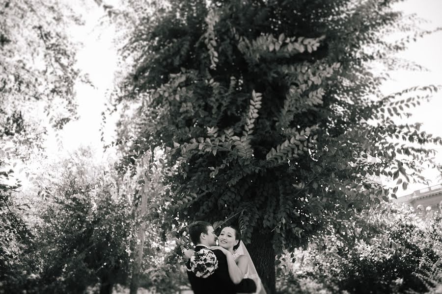 Fotografo di matrimoni Anton Sidorenko (sidorenko). Foto del 5 novembre 2014