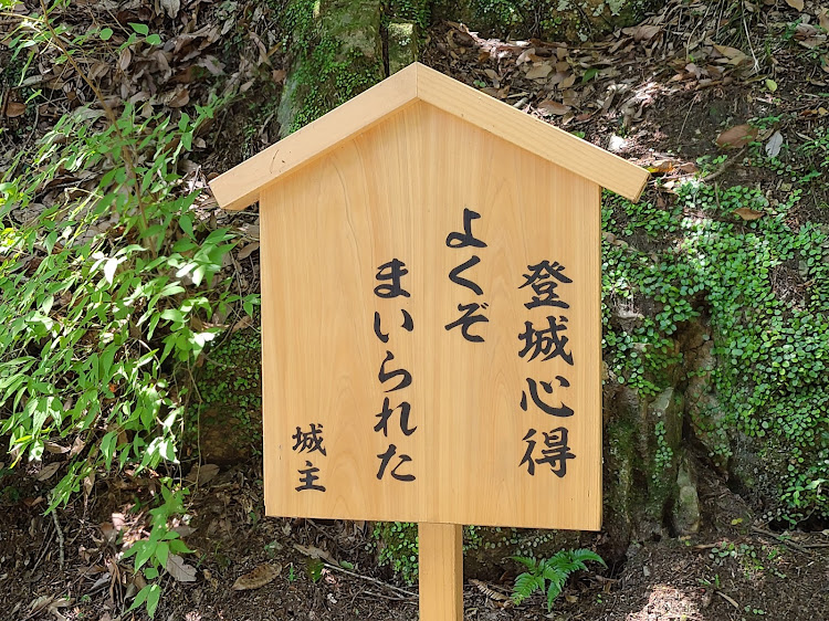 アルファードの備中松山城・吉備高原都市・樽井ダム・7月もよろしくお願いしますに関するカスタム事例の投稿画像13枚目