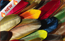 Plumage HD Wallpapers Feather Pattern Theme small promo image