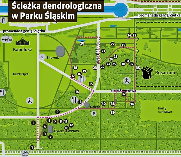 Mapka podręczna