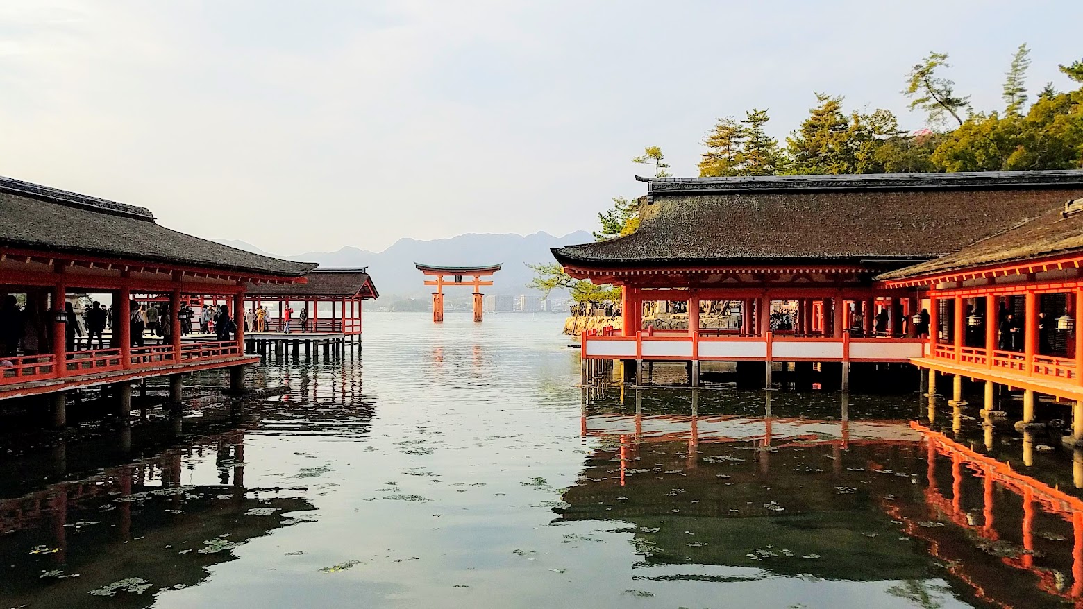 Hiroshima Day trip to Miyajima, the famous red Itsukushima Floating Torii Gate