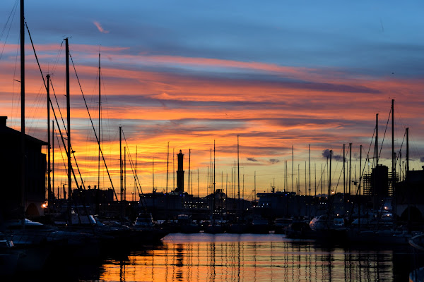 Genova: tramonto tra gli 'alberi' del porto di christian_taliani