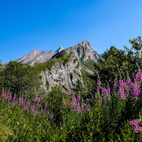 Ritorneremo ancor sui nostri monti..... di 