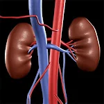 Cover Image of Download Nephrology Assisstant Free 2.4 APK