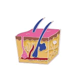 Capillary
