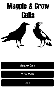 Magpie & Crow Calls(圖4)-速報App