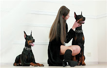 Manchester Terrier Themes & New Tab small promo image