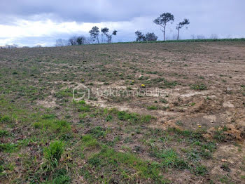 terrain à Orthez (64)