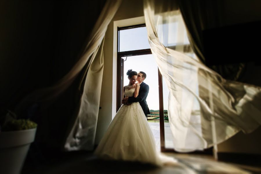 Wedding photographer Evgeniya Bondareva (cats). Photo of 11 February 2020