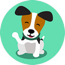 Jack Russell Terrier Wallpapers HD Dog NewTab