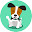 Jack Russell Terrier Wallpapers HD Dog NewTab