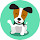 Jack Russell Terrier Wallpapers HD Dog NewTab