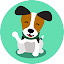 Jack Russell Terrier Wallpapers HD Dog NewTab