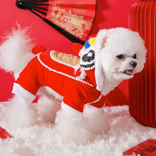 Title 4, Spring Festival Xingshi Pet Costume for Small a...