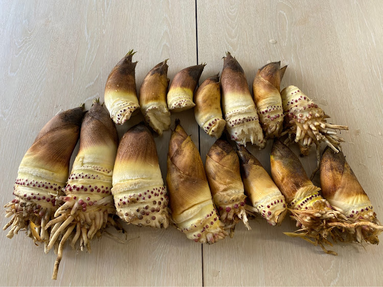 Nボックスカスタムのまるも・まろん・ドッグカフェ・清水屋・ツバメヤに関するカスタム事例の投稿画像6枚目