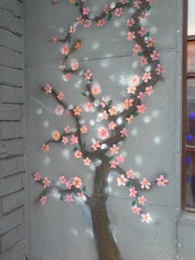 Сакура.sakura