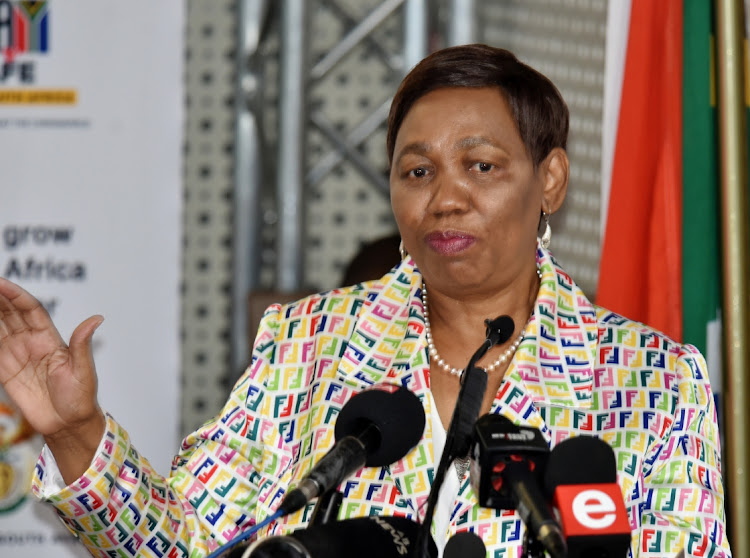 Basic education minister Angie Motshekga says the vaccine may be given to school children in future. File photo.