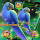 Download Cute Blue Parrot Theme For PC Windows and Mac 1.1.0