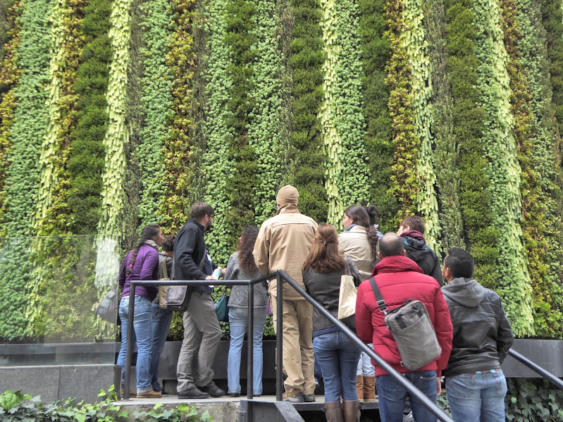 curso en Ecuador de jardines verticales