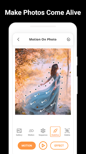 Motiongram - Photo in Motion  Live Motion Effect