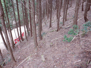 右下の林道に降りる