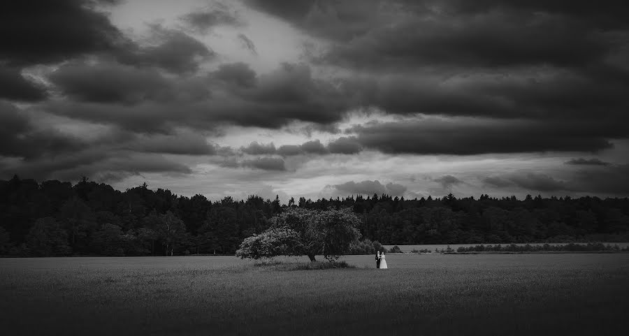 Wedding photographer Aleksandr Trivashkevich (alextryvash). Photo of 26 May 2014