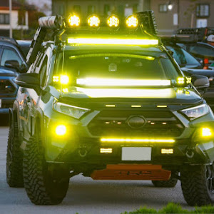 RAV4 MXAA54