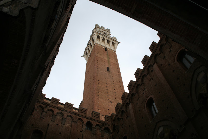 Siena palazzo Comunale, edificio e la torre del mangia. di Luciano53