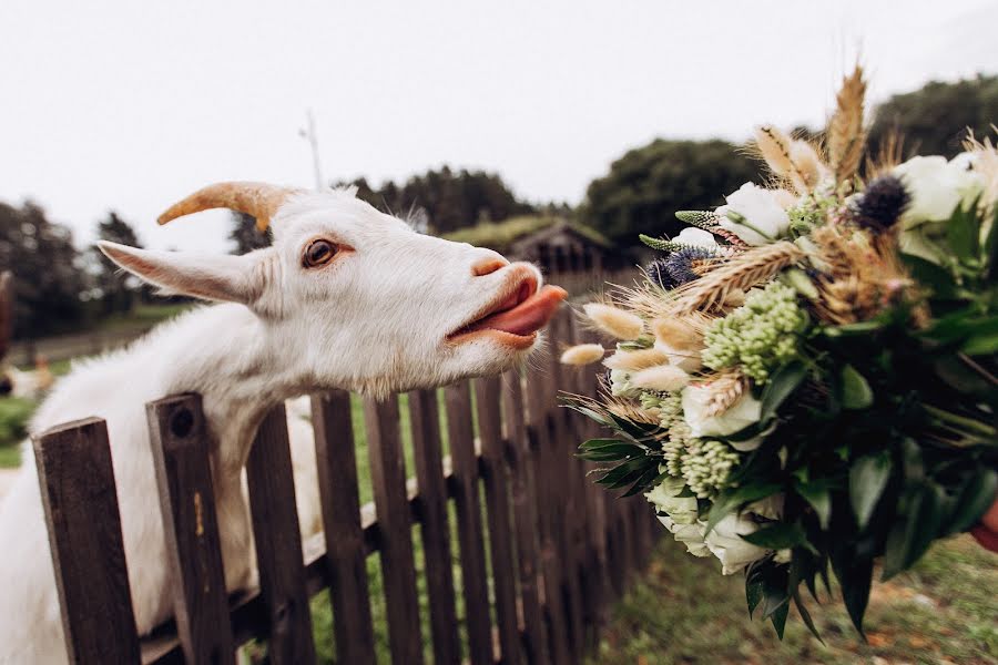 Kāzu fotogrāfs Olga Kuznecova (matukay). Fotogrāfija: 1. septembris 2018