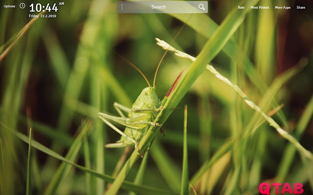 Grass Wallpapers Theme Grass New Tab