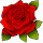 Roses Wallpaper and Flower Rose Floral Theme