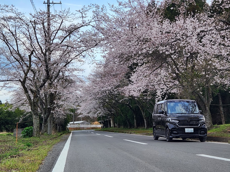 の投稿画像2枚目