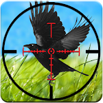 Crow Hunting Game 3D 2016 Apk