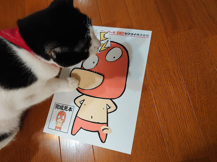 S1 ハッチバックの新年・凄麺・猫・材木に関するカスタム事例の投稿画像12枚目