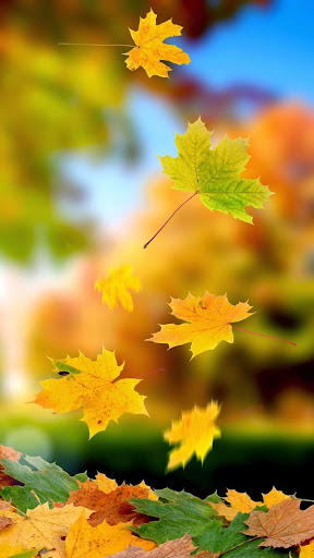 Download Wallpapers Backgrounds Hd 2019 On Pc Mac With Appkiwi