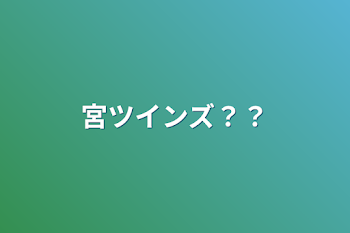 「宮ツインズ？？」のメインビジュアル