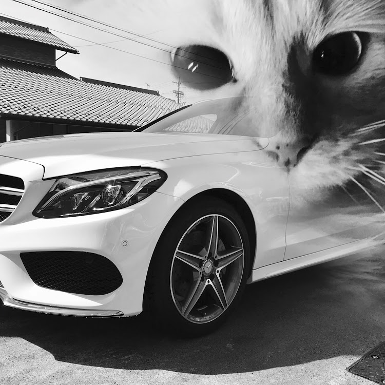 Cクラス ステーションワゴンの愛猫紹介・コラボに関するカスタム事例の投稿画像1枚目