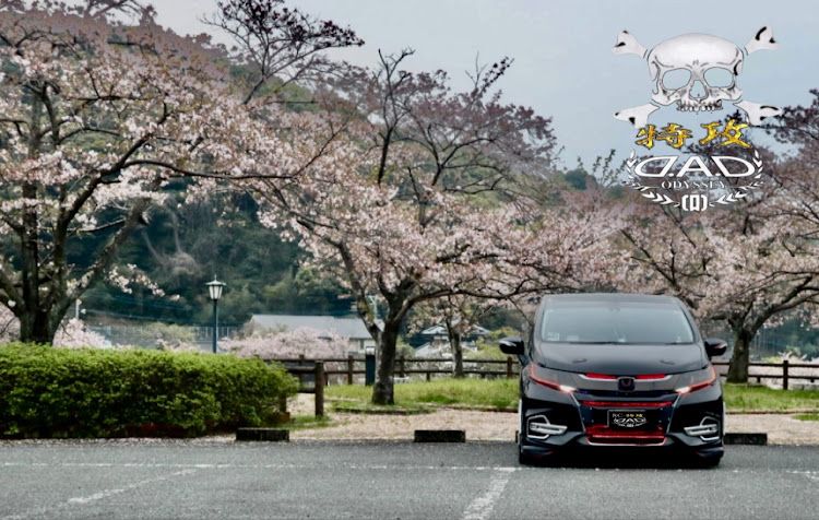 オデッセイの桜とコラボに関するカスタム事例の投稿画像3枚目