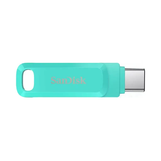 USB 64GB SANDISK SDDDC3-064G-G46G