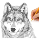 How to draw a wolf. Scheme Download on Windows