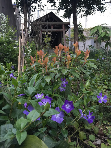 小さな祠